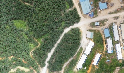iventaris areal kebun dengan drone